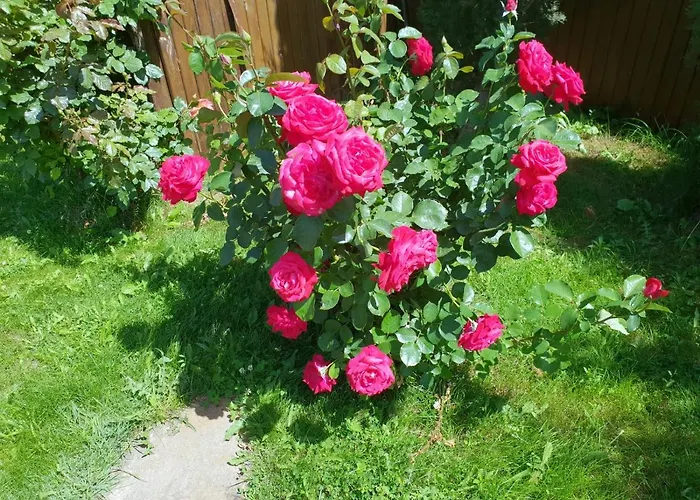 Family Yalta влас Rezort