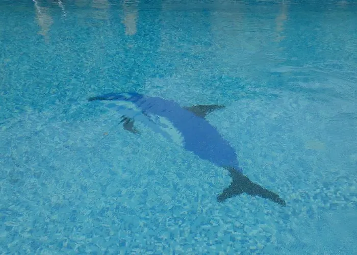 Rezort Family Yalta влас 3*