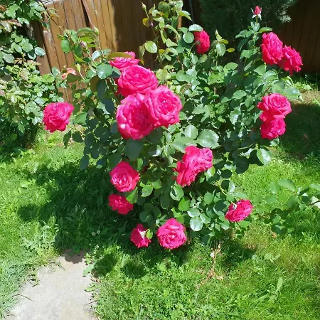 Family Yalta влас Station touristique